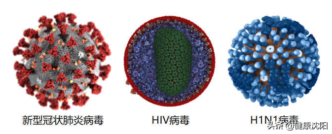 新型冠狀病毒肺炎是一種急性感染性肺炎,其病原體是一種先前未在人類